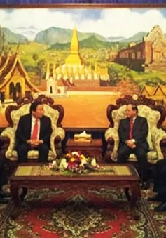 VTV hỗ trợ đào tạo nguồn nhân lực cho Đài THQG Lào